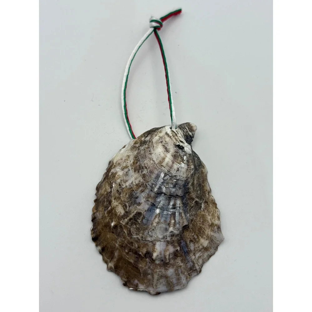 Handmade Vintage Santa Oyster Shell Christmas‎ Ornament Gold Red White Coastal